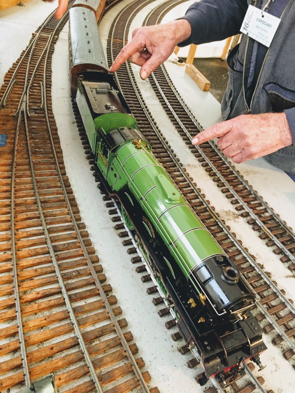 Le spécialiste du train miniature en France